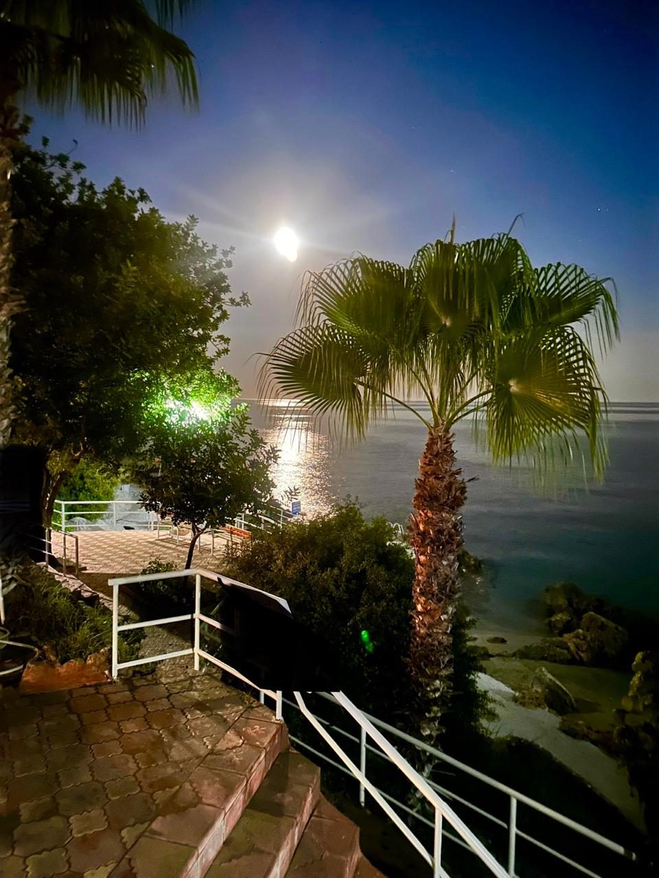 Palmiyeler arasından mehtaplı deniz